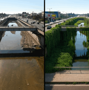 image showing two alternatives of Athenian road (with and without greenery)